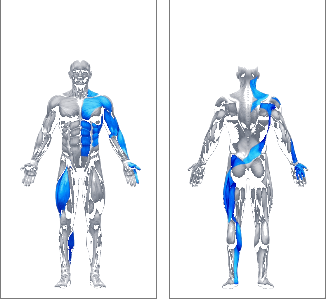 X Beta kinetic chain, front and back muscle activation