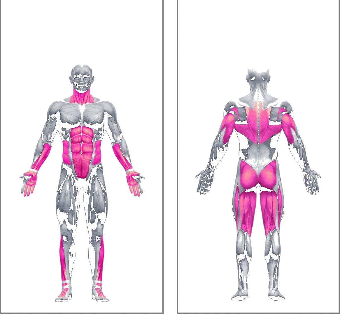 Z Minus kinetic chain, front and back muscle activation